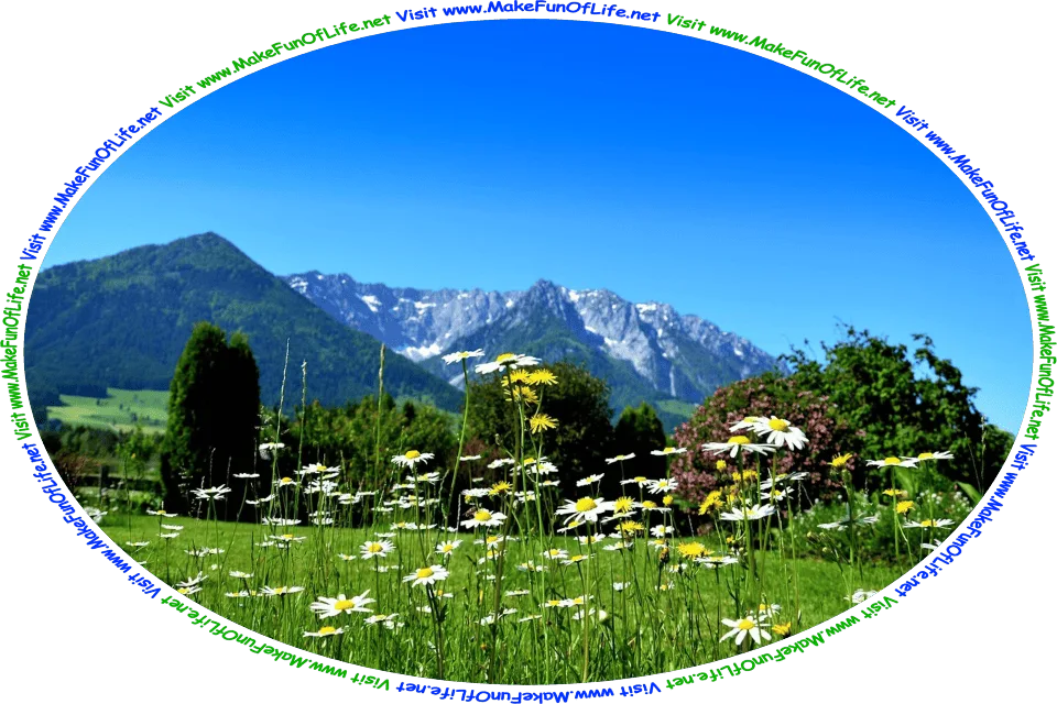 Picture of a mountain meadow of green grass, daisies,  and dandelions, bordered by a variety of green leafy trees, with hills and mountains in the distance, patches of fallen snow on the mountainsides, a clear blue sky above, and the words, ‘Visit www.MakeFunOfLife.net.’