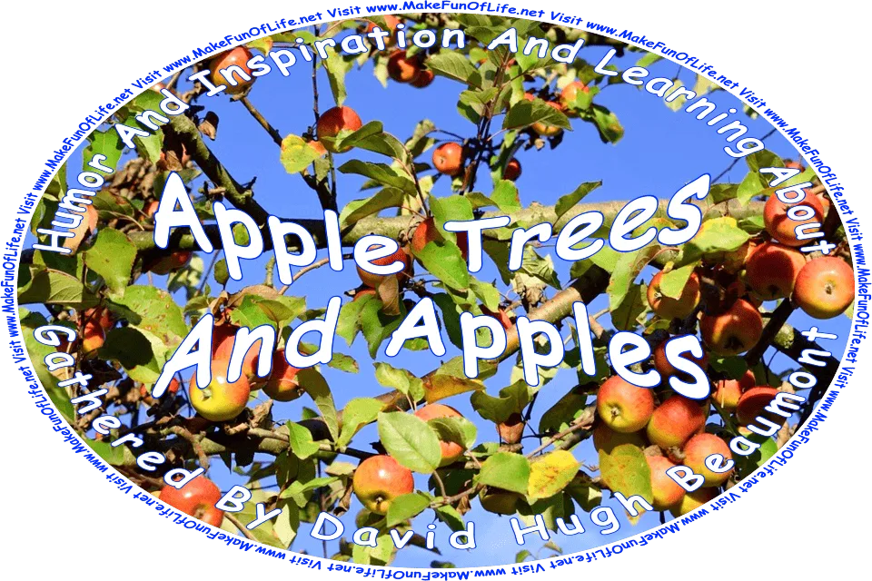 Picture of the branches of an apple tree with dark green leaves and red ripe apples, under a clear blue cloudless sky, and the words, Humor And Inspiration And Learning About Apple Trees And Apples Gathered By David Hugh Beaumont - Visit www.MakeFunOfLife.net.