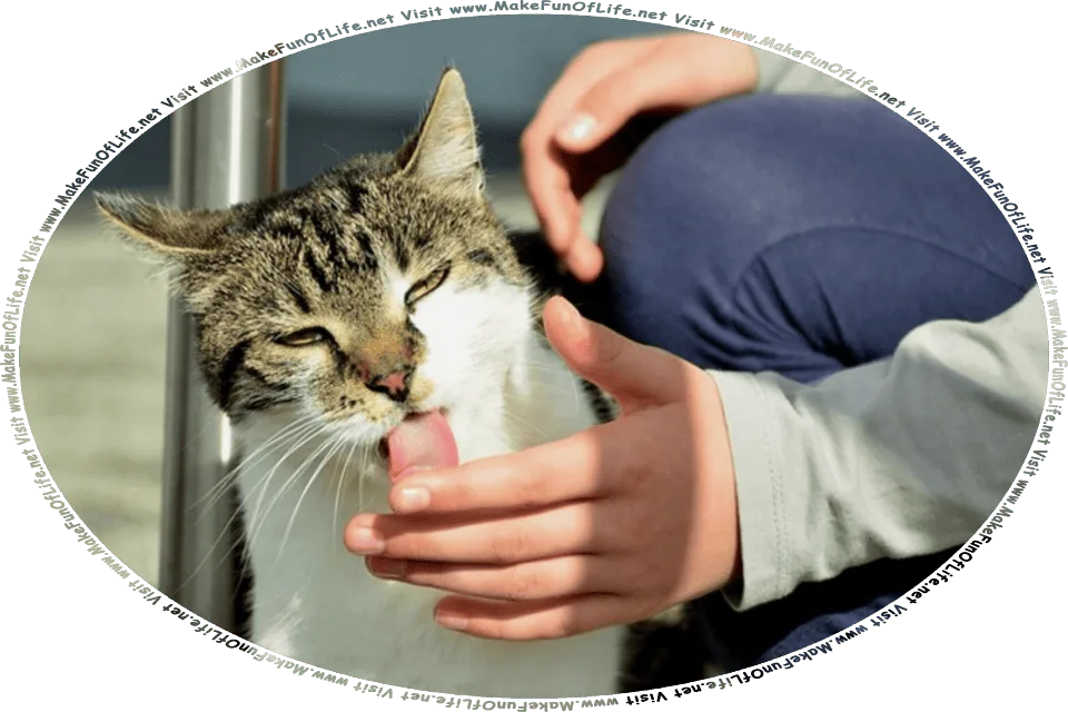 Picture of a cat licking a person’s hand, and the words, Visit www.MakeFunOfLife.net.