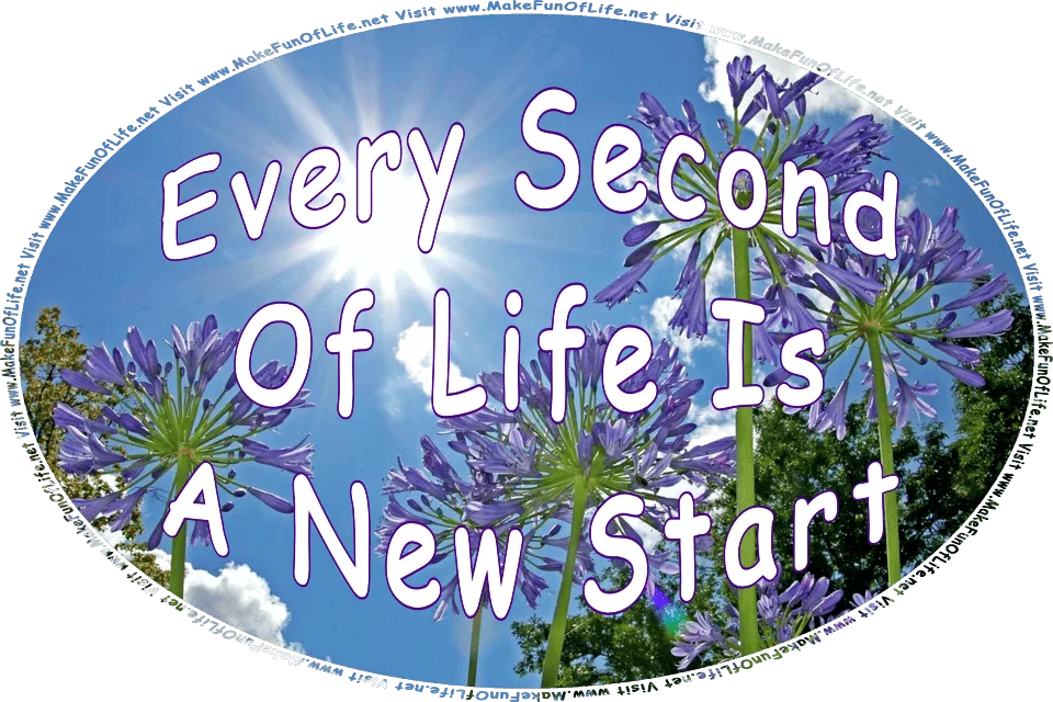 Picture of lavender-colored flowers on the ends of long green plant stems, the Sun shining brightly in the sky, white fluffy clouds, and the words, Every Second Of Life Is A New Start - Visit www.MakeFunOfLife.net.