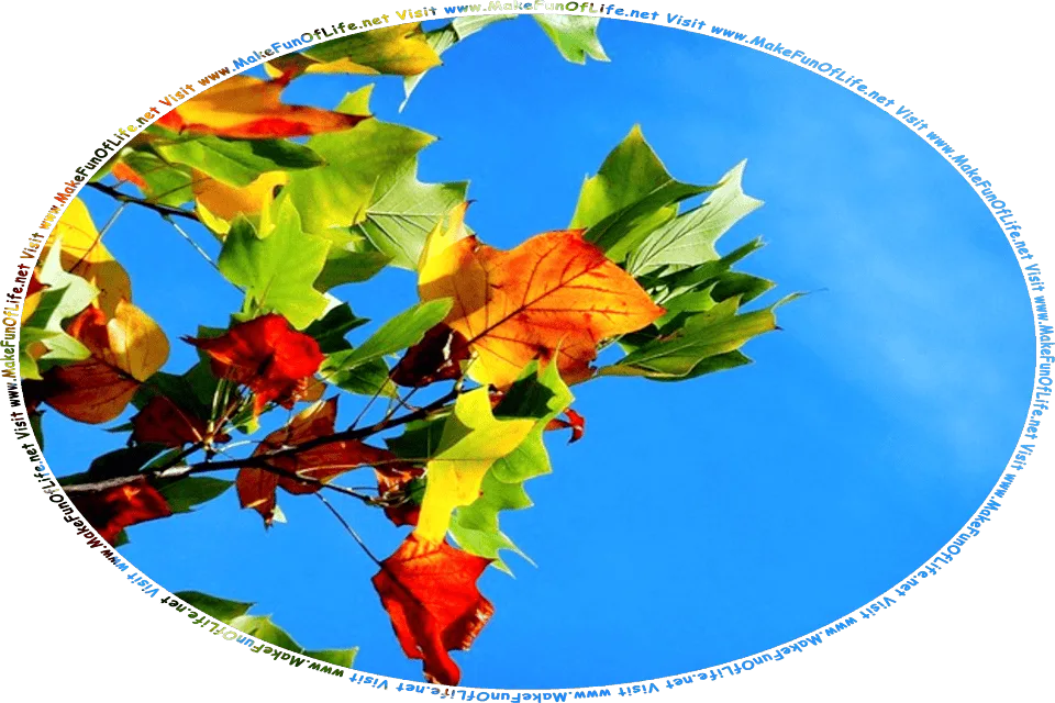 Picture of leaves on a tree changing color from green to Autumn colors: red, yellow, orange, and brown, with a clear blue sky in the background, and the words, Visit www.MakeFunOfLife.net.