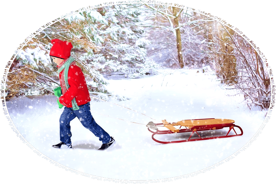 Picture of a child pulling a sled through the snow in the woods on a winter day, and the words, Visit www.MakeFunOfLife.net.