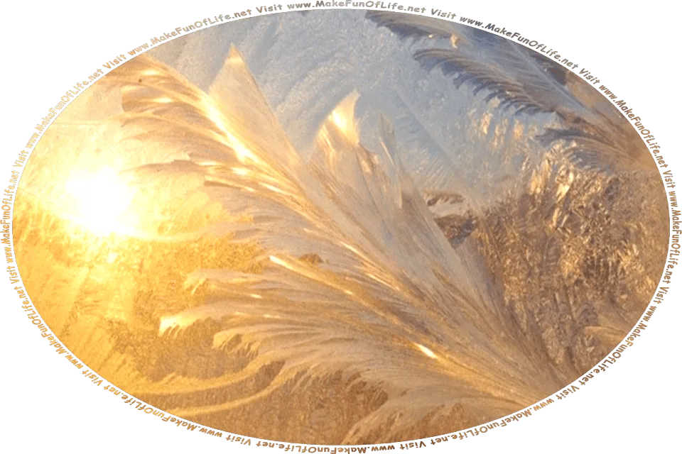 Picture of frost, or fine ice crystals, on a windowpane, with the Sun shining through and the ice starting to melt, and the words, Visit www.MakeFunOfLife.net.