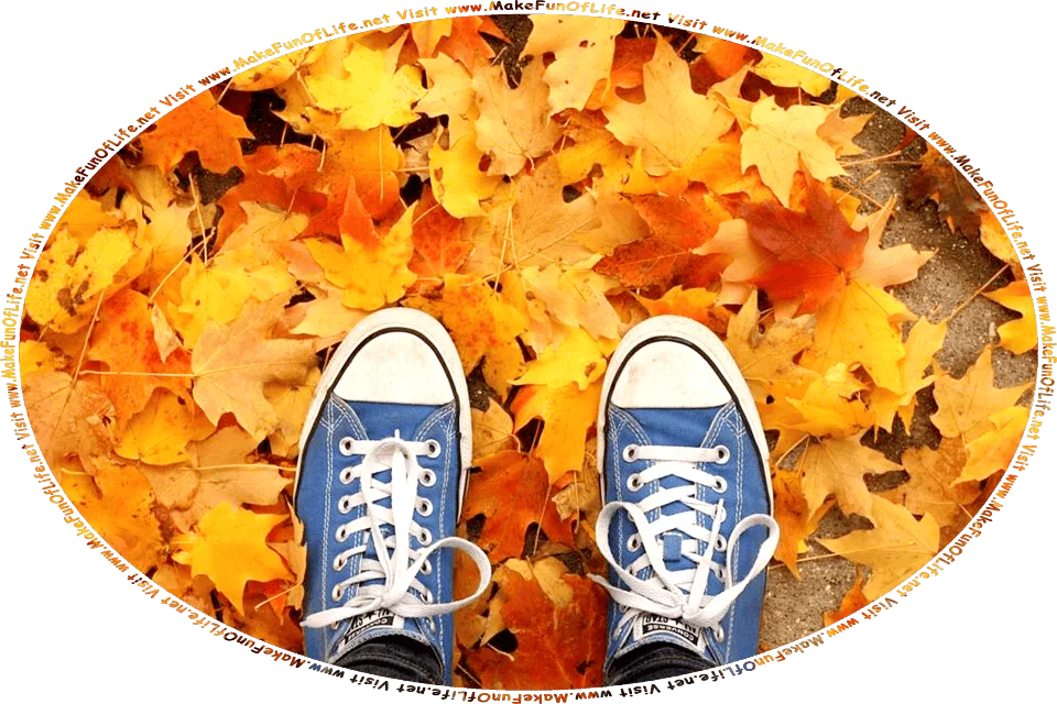 Picture of a person’s feet and shoes as the person stands among golden brown leaves that have fallen to the ground, and the words, Humor And Inspiration And Learning About Autumn Leaves Gathered By David Hugh Beaumont - Visit www.MakeFunOfLife.net.