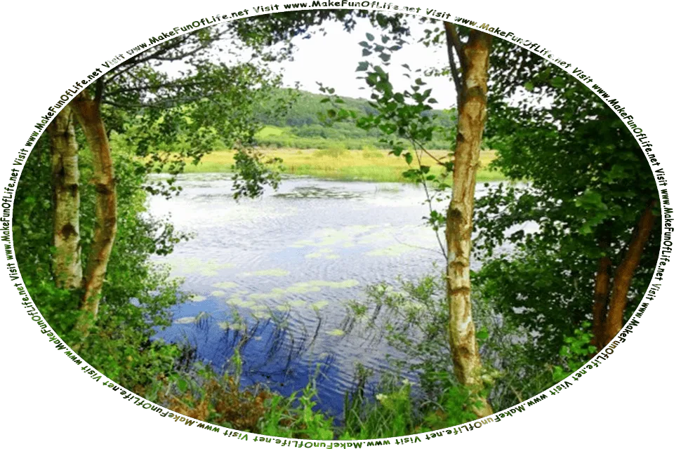 View of a lily-pad-pond from between two green leafy trees, with a grassy meadow and green hills across the water, an overcast sky above, and the words, Visit www.MakeFunOfLife.net.