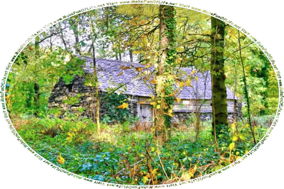 Picture of a small stone and wood house in a woods of green leafy trees, and the words, Visit www.MakeFunOfLife.net.