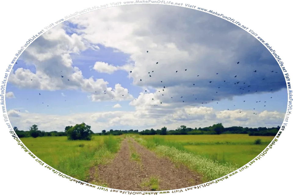 Picture of a rock-strewn road across a grassy woodlands area, with clouds floating in the sky and a flock of birds flying overhead, and the words, Visit www.MakeFunOfLife.net.