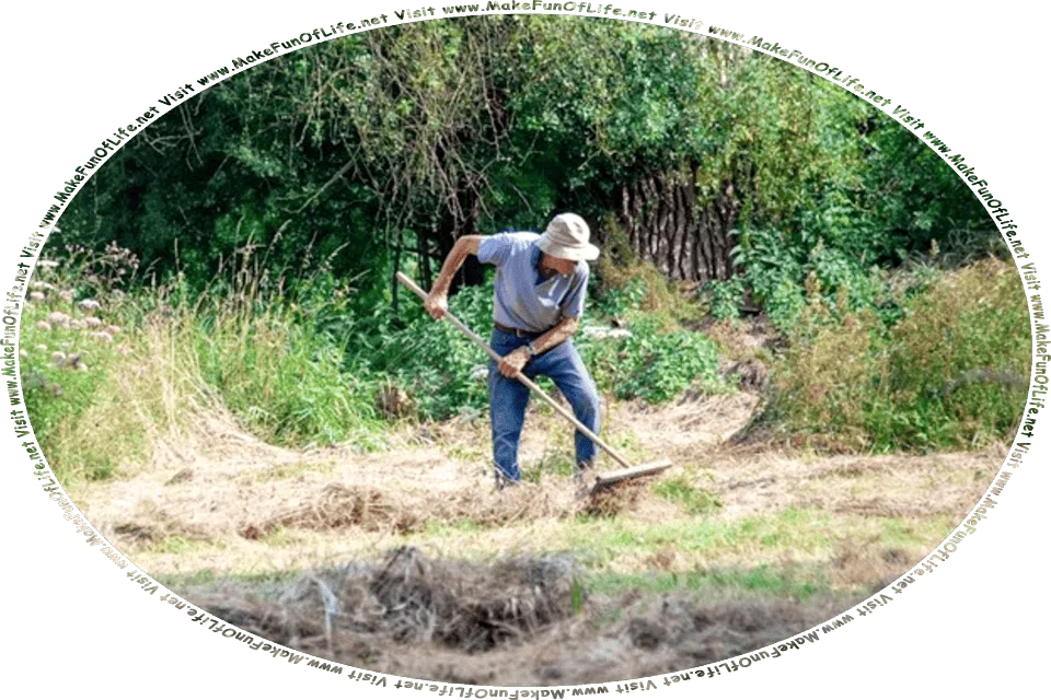 Picture of a man using a rake to clear cut and dried grass out of a yard, and the words, Visit www.MakeFunOfLife.net.