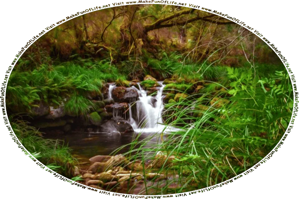 Picture of a small waterfall in a dense dark woods, and the words, Visit www.MakeFunOfLife.net.