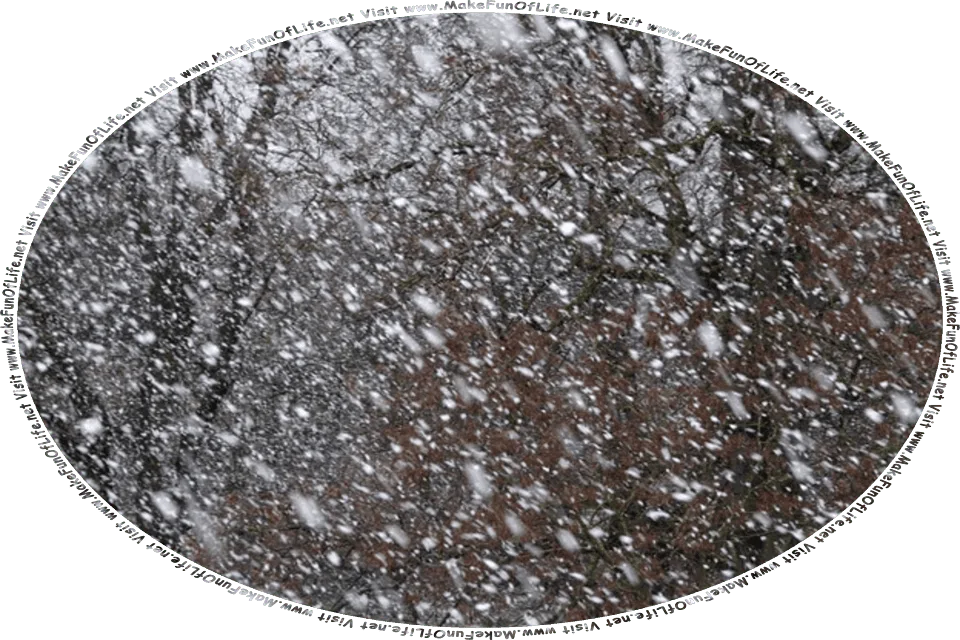 Picture of a snow flurry, or snow falling at a rate that decreases visibility, in a woods of leafless bare wintertime trees, and the words, Visit www.MakeFunOfLife.net.