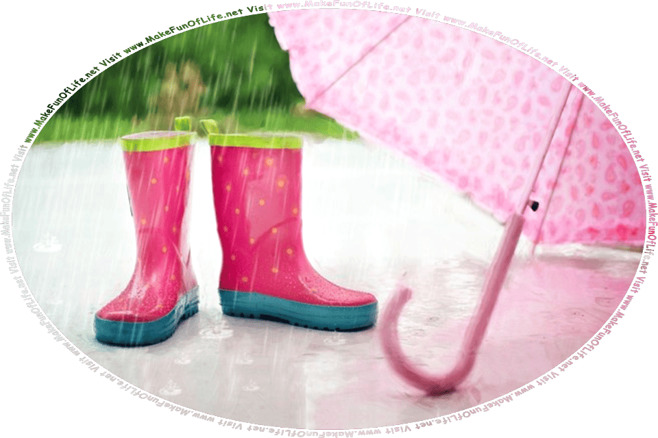 Picture of a pair of galoshes, or waterproof boots, and an umbrella, left outside on the patio of a house in the pouring rain, and the words, Visit www.MakeFunOfLife.net.