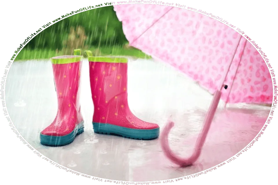 Picture of a pair of galoshes, or waterproof boots, and an umbrella, left outside on the patio of a house in the pouring rain, and the words, Visit www.MakeFunOfLife.net.
