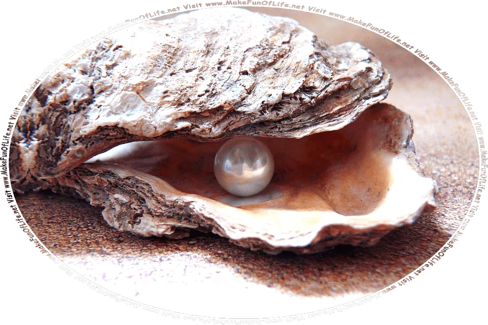Picture of an oyster shell with a pearl inside it, and the words, Visit www.MakeFunOfLife.net.