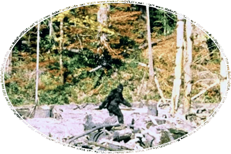 Picture of Bigfoot walking through a wilderness area, and the words, Visit www.MakeFunOfLife.net.