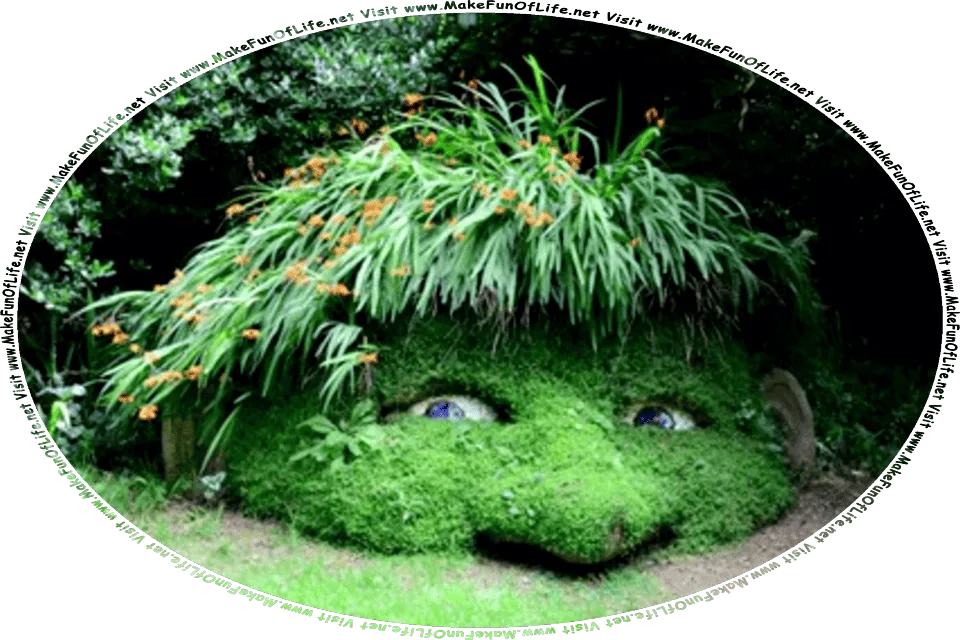 Picture of a goblin’s head made of concrete, covered with green growing plants including flowering plants with orange blossoms and long thin leaves for hair, and with blue eyes and prominent ears and nose, in an ornamental garden, and the words, Visit www.MakeFunOfLife.net.
