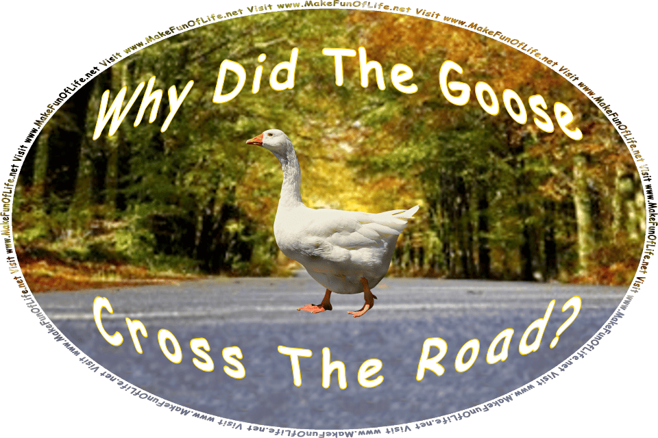 Picture of a long-necked feathery goose walking across a road, and the words, Visit www.MakeFunOfLife.net.