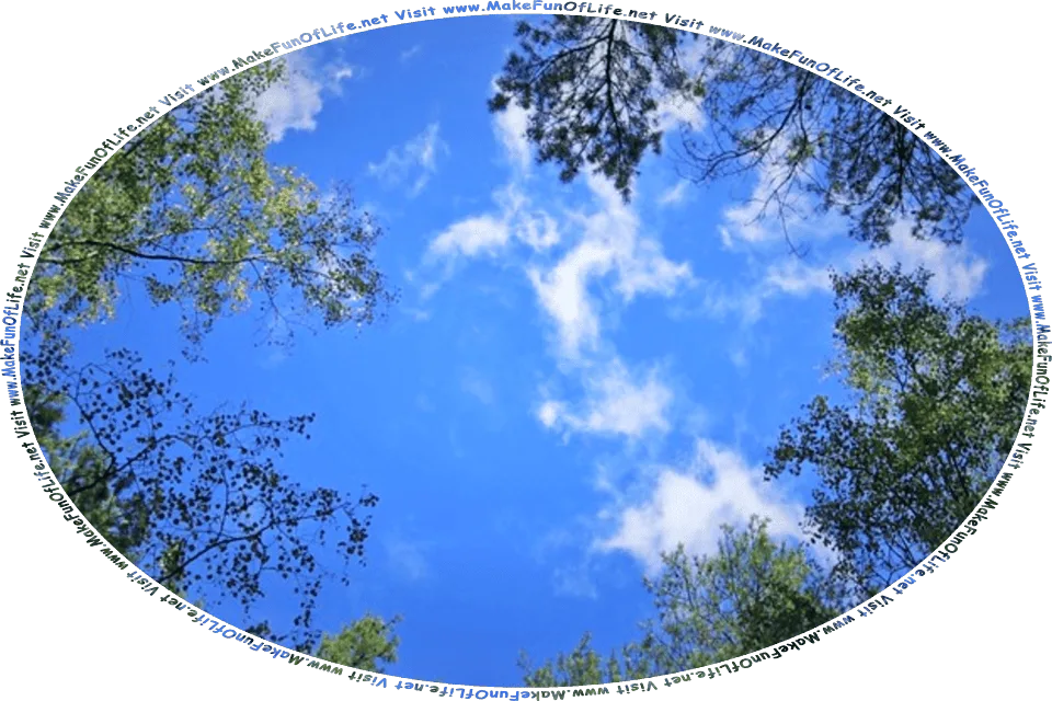 Picture of a blue sky with fluffy white clouds, framed by an opening in a canopy of green leafy trees branches, and the words, Visit www.MakeFunOfLife.net.