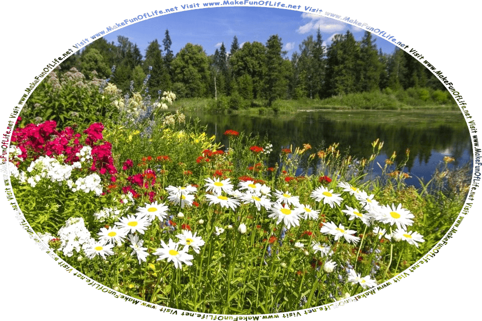 Picture of a wilderness area with flowering plants, a lake, green leafy trees across the lake, a blue sky with fluffy white clouds, and the words, Visit www.MakeFunOfLife.net.