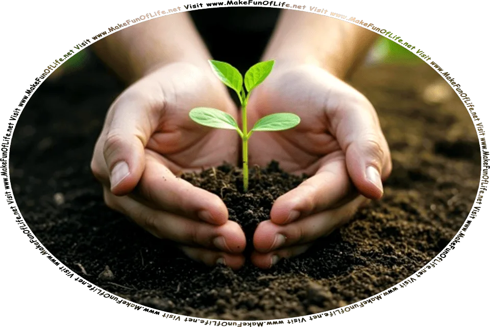Picture of human hands placing a small green leafy plant in the soil of the ground, and the words, Visit www.MakeFunOfLife.net.