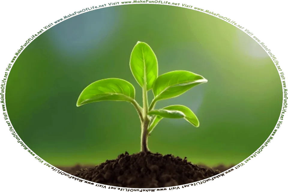 Picture of a leafy green plant sprouting in crumbly brown soil, and the words, Visit www.MakeFunOfLife.net.