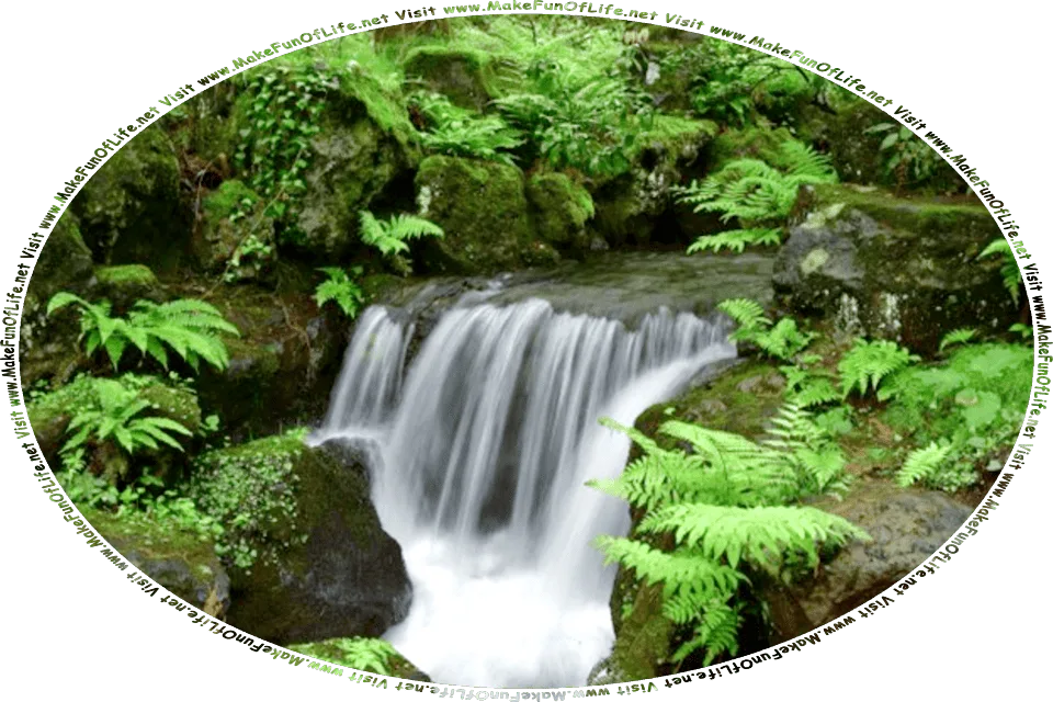 Picture of a small waterfall over moss-covered rocks surrounded by green leafy fern plants, and the words, - Visit www.MakeFunOfLife.net.