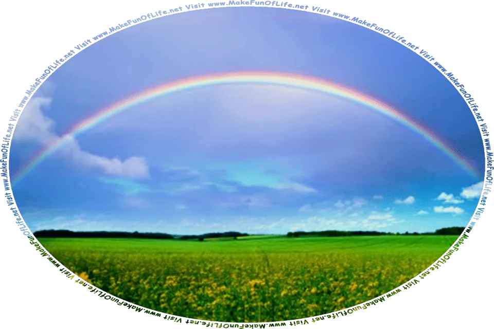 Alt Text: Picture of a colorful rainbow in a cloudy sky over a field of green leafy flowering plants with bright yellow blossoms, and the words, Visit www.MakeFunOfLife.net.