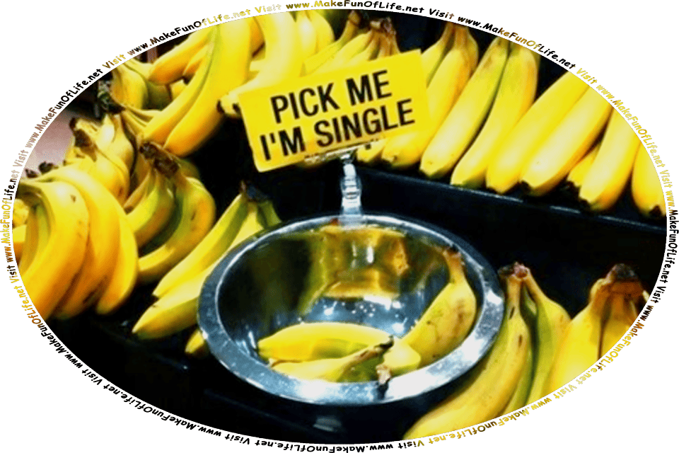 Picture of bunches of yellow ripe bananas in a store, with a shiny stainless-steel bowl holding a few bananas that are separated from the bunches, above which is a sign reading, Pick Me - I’m Single to encourage shoppers to purchase the single bananas, and the words, Visit www.MakeFunOfLife.net.