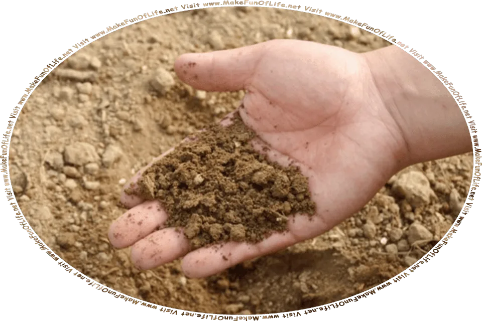 Picture of a person holding a handful of dirt, and the words, Visit www.MakeFunOfLife.net.
