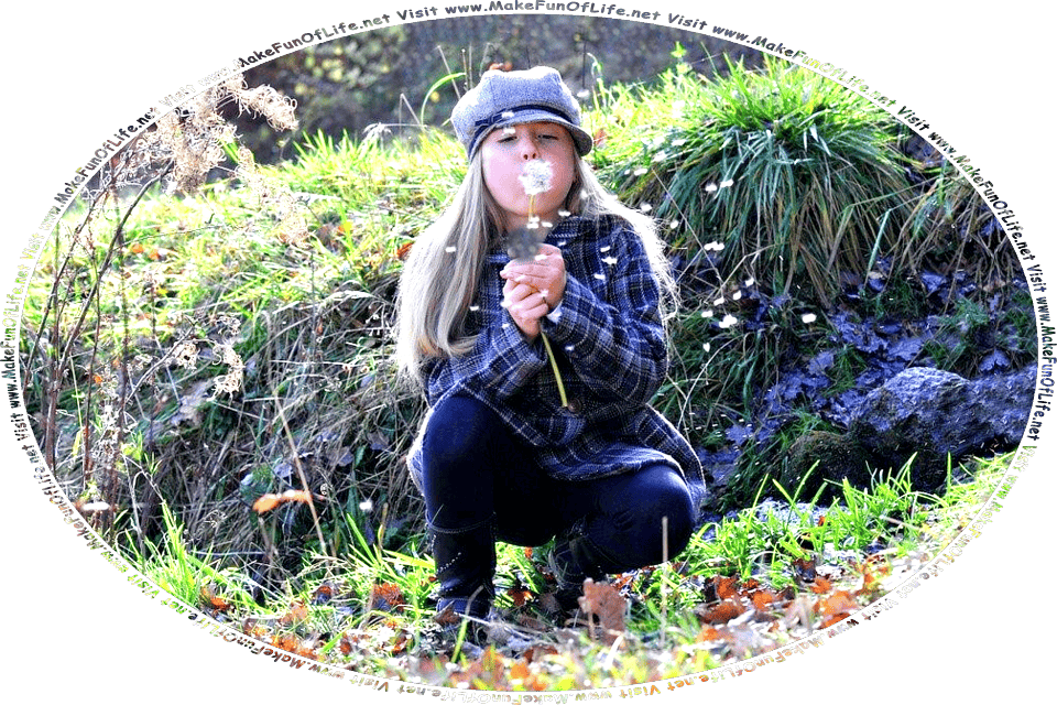 Picture of a girl blowing fluffy dandelion seed tufts into the breeze, and the words, Visit www.MakeFunOfLife.net.