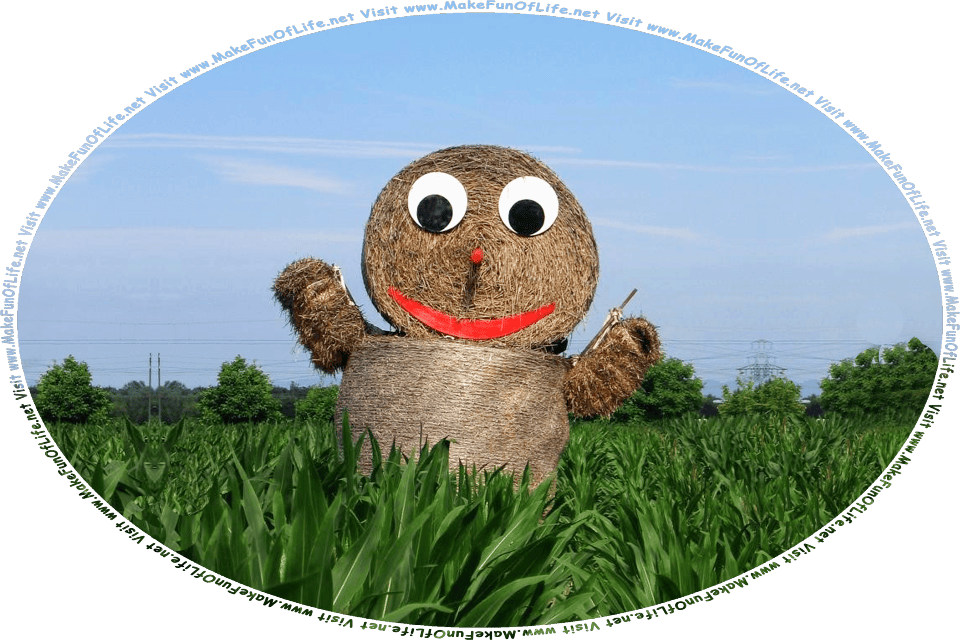Picture of a cornfield with a scarecrow made of stacked bales of hay, with eyes, mouth, and nose made of plastic, and the words, Visit www.MakeFunOfLife.net.