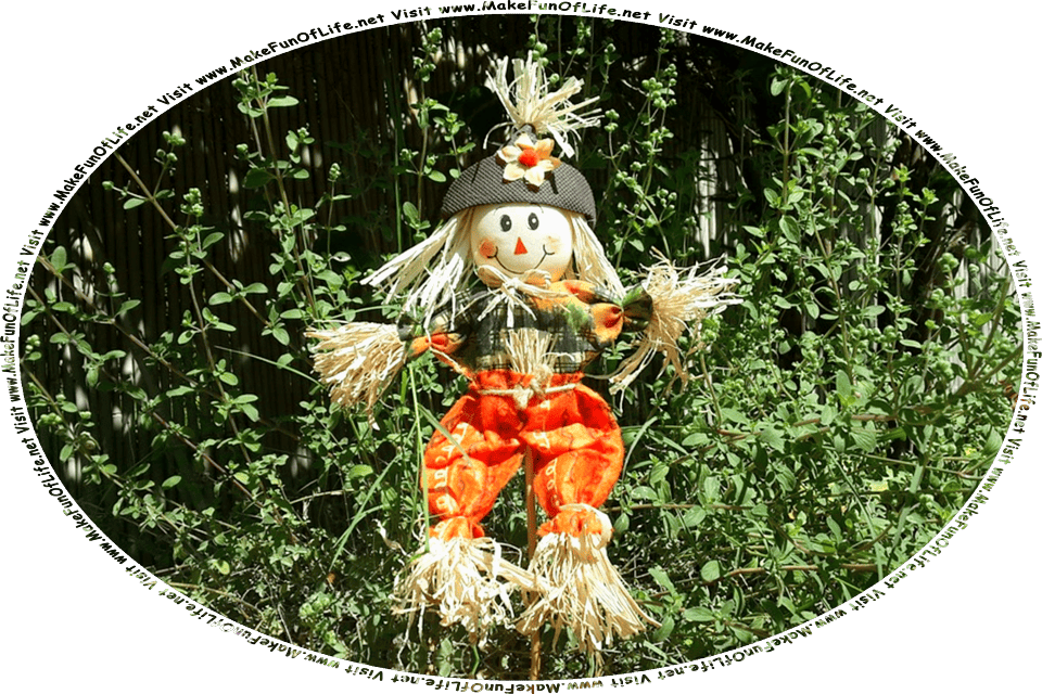 Picture of a small happy smiling straw-stuffed scarecrow attached to a pole, surrounded by green leafy plants, and the words, Visit www.MakeFunOfLife.net.