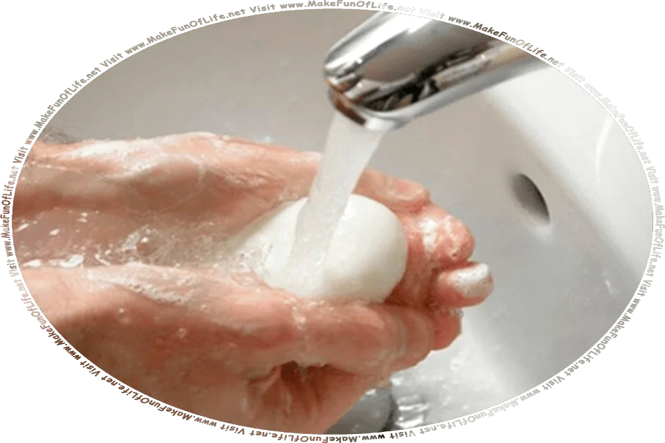 Picture of a person washing their hands with a bar of soap and running water, and the words, Visit www.MakeFunOfLife.net.