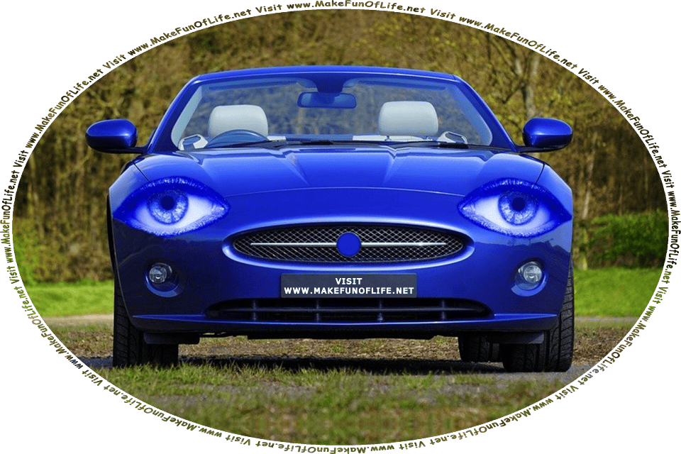 Picture of a small blue two-door convertible sportscar with eyes for headlights, and the words, Visit www.MakeFunOfLife.net printed on its front bumper.