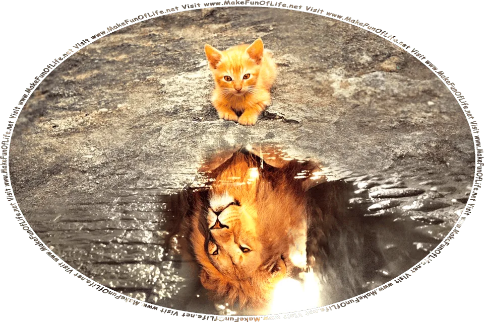 Picture of an orange Tabby Cat kitten looking into a pool of water and seeing reflected back an image of a lion, and the words, Visit www.MakeFunOfLife.net.
