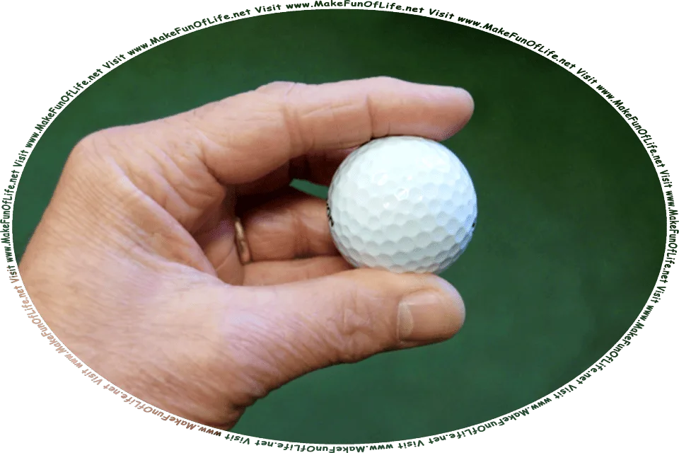 Picture of a person’s hand holding a golf ball, and the words, Visit www.MakeFunOfLife.net.