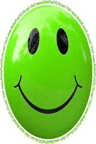Picture of a dark blue smiley face and the words, 'Visit www.MakeFunOfLife.net.'