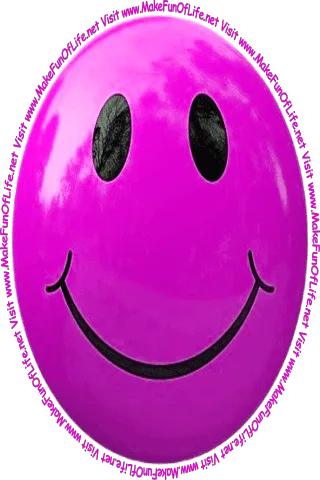Picture of a blue smiley face and the words, 'Visit www.MakeFunOfLife.net.'