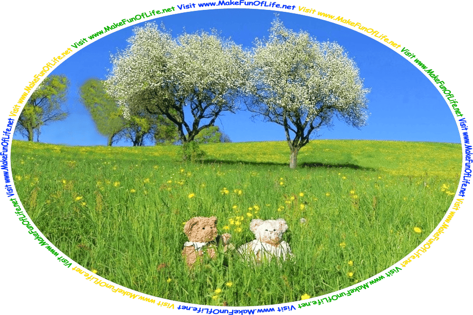 Picture of two teddy bears in a meadow of green grass and yellow buttercups flowers, trees with white blossoms behind them, a clear blue sky overhead, and the words, ‘Visit www.MakeFunOfLife.net.’