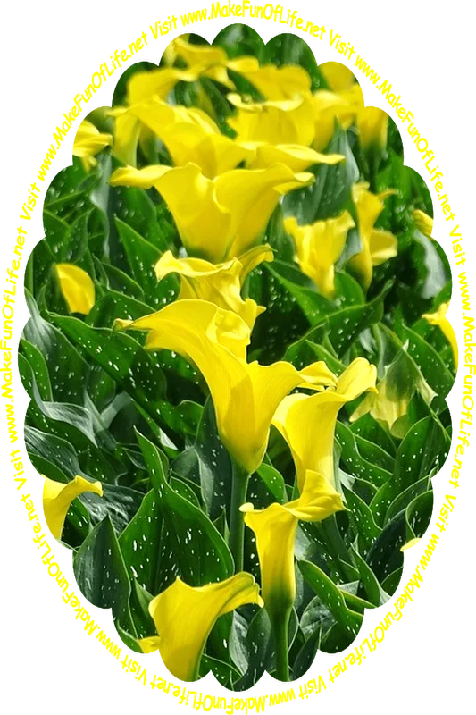 Picture of flowering plants with white-dappled long dark green leaves, bright yellow blossoms, and the words, ‘Visit www.MakeFunOfLife.net.’