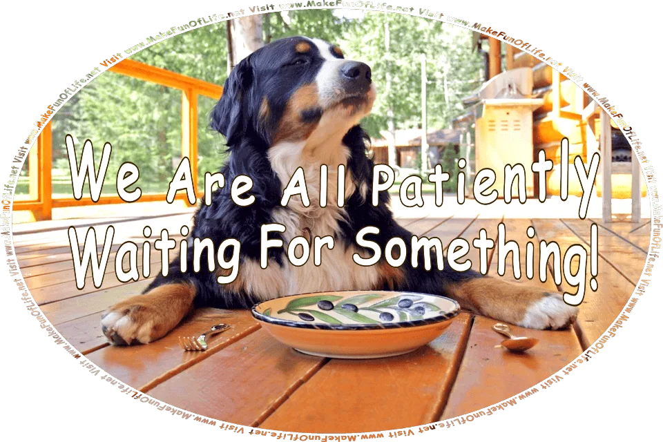 Picture on a bright sunny day of a dog on the outdoor wood deck of a house, with an empty bowl, a fork, and a spoon in front of it, as if waiting for food to be served, with green grass and green leafy trees in the background, and the words, We Are All Waiting For Something! Visit www.MakeFunOfLife.net.