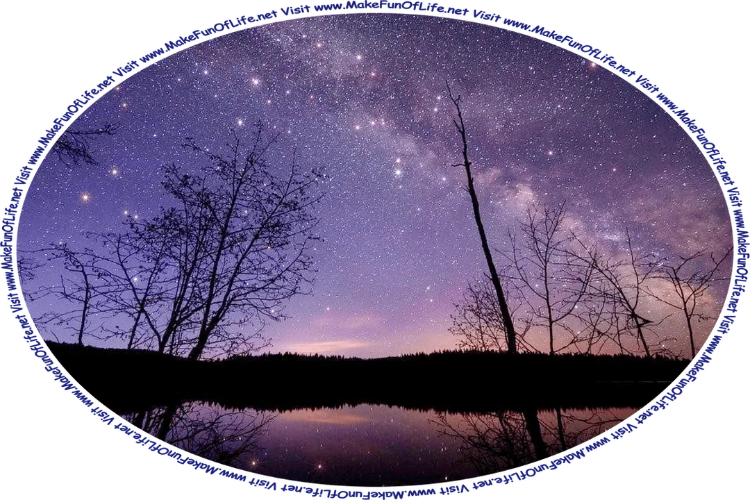 Nighttime picture of bare trees, with a starlit sky, a lake in which the stars are reflected visible through the bare branches of the trees, and the words, ‘Visit www.MakeFunOfLife.net.’