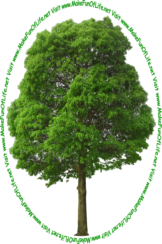 Picture of a tall leafy green tree and the words, 'Visit www.MakeFunOfLife.net.'