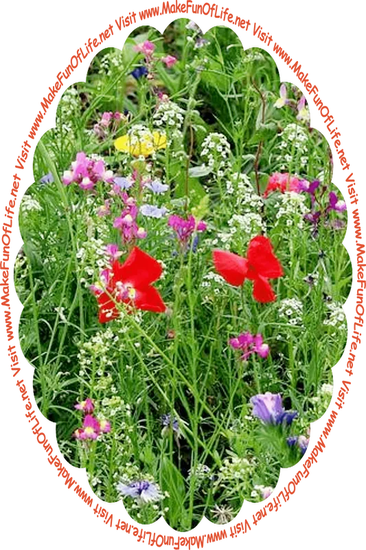 Picture of assorted flowering plants with various colors of blossoms, and the words, ‘Visit www.MakeFunOfLife.net.’