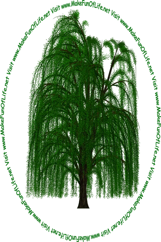 Picture of a tall green leafy weeping willow tree and the words, ‘Visit www.MakeFunOfLife.net.’