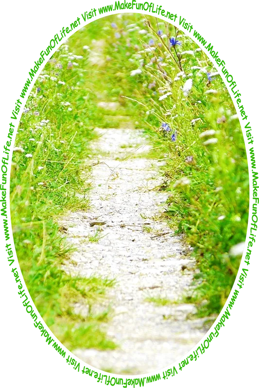 Picture of a footpath bordered on both sides by short leafy green flowering plants, and the words, ‘Visit www.MakeFunOfLife.net.’