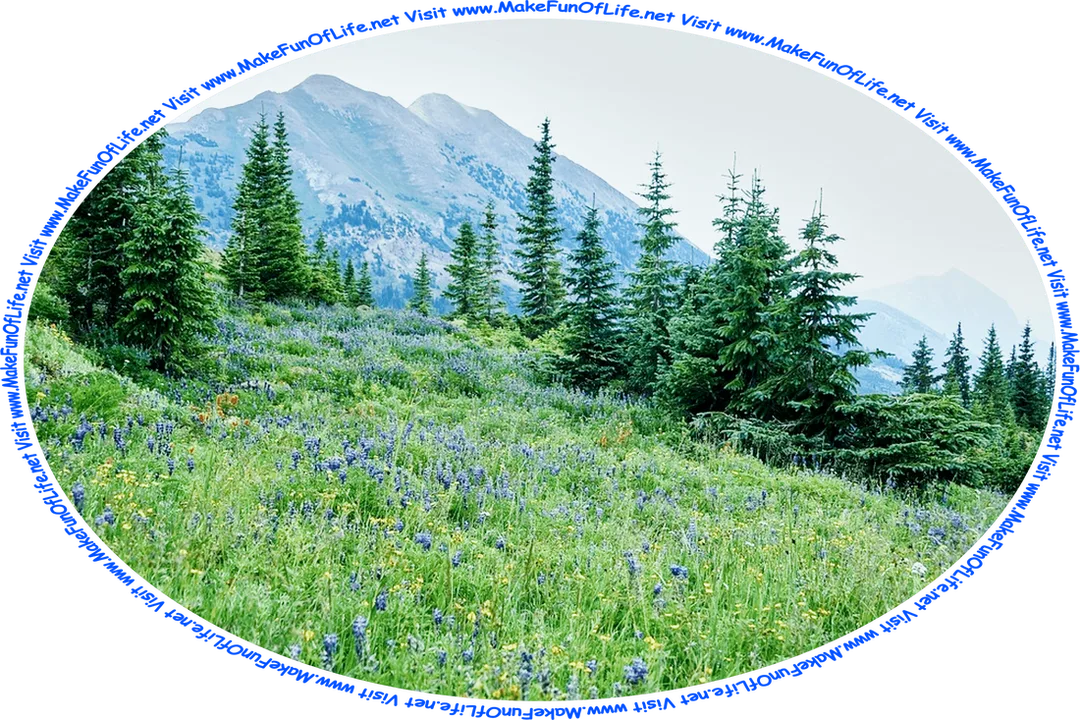 Picture of a mountainous area, with thick growths of leafy green flowering plants that have indigo, yellow, and red blossoms, evergreen trees, a hazy overcast sky, and the words, ‘Visit www.MakeFunOfLife.net.’