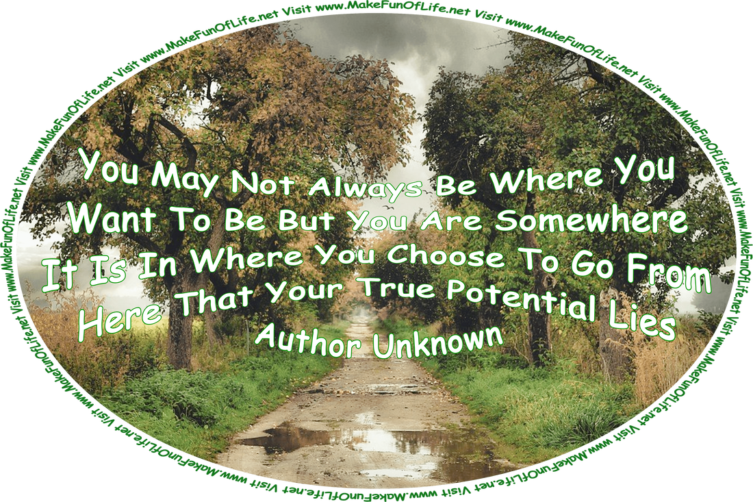 Picture of a road with large water puddles on it, bordered on both sides by green grass and trees, a darkly clouded sky overhead portending imminent rain, three birds flying under the clouds, and the words, You May Not Always Be Where You Want To Be But You Are Somewhere - It Is In Where You Choose To Go From Here That Your True Potential Lies -Author Unknown - Visit www.MakeFunOfLife.net.