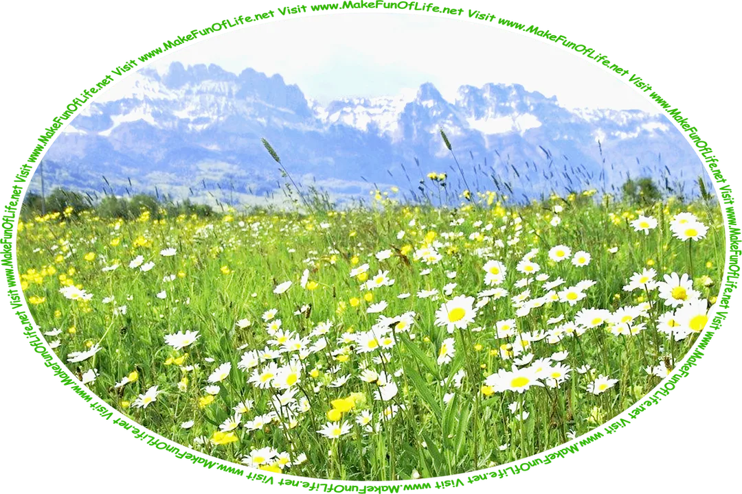 Picture of a meadow of buttercups and daisies with a mountain range in the distance, and the words, ‘Visit www.MakeFunOfLife.net.’