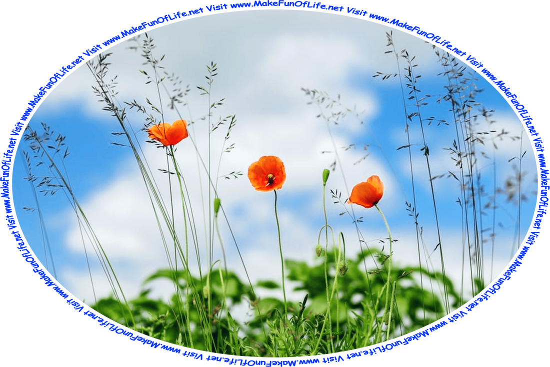 Picture of three red blossoms on dark green leafy poppy plants with a blue sky and fluffy white clouds above, and the words, ‘Visit www.MakeFunOfLife.net.’