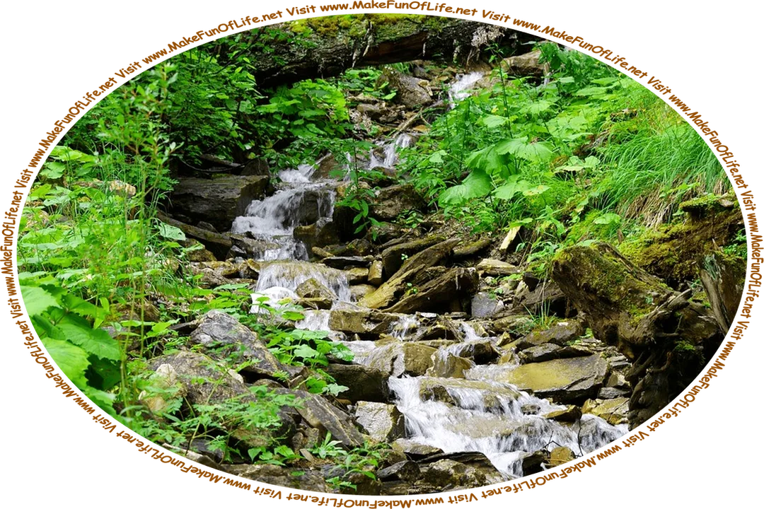 Picture of a stream flowing down a rocky hillside with dense green foliage on both sides of it, and the words, ‘Visit www.MakeFunOfLife.net.’